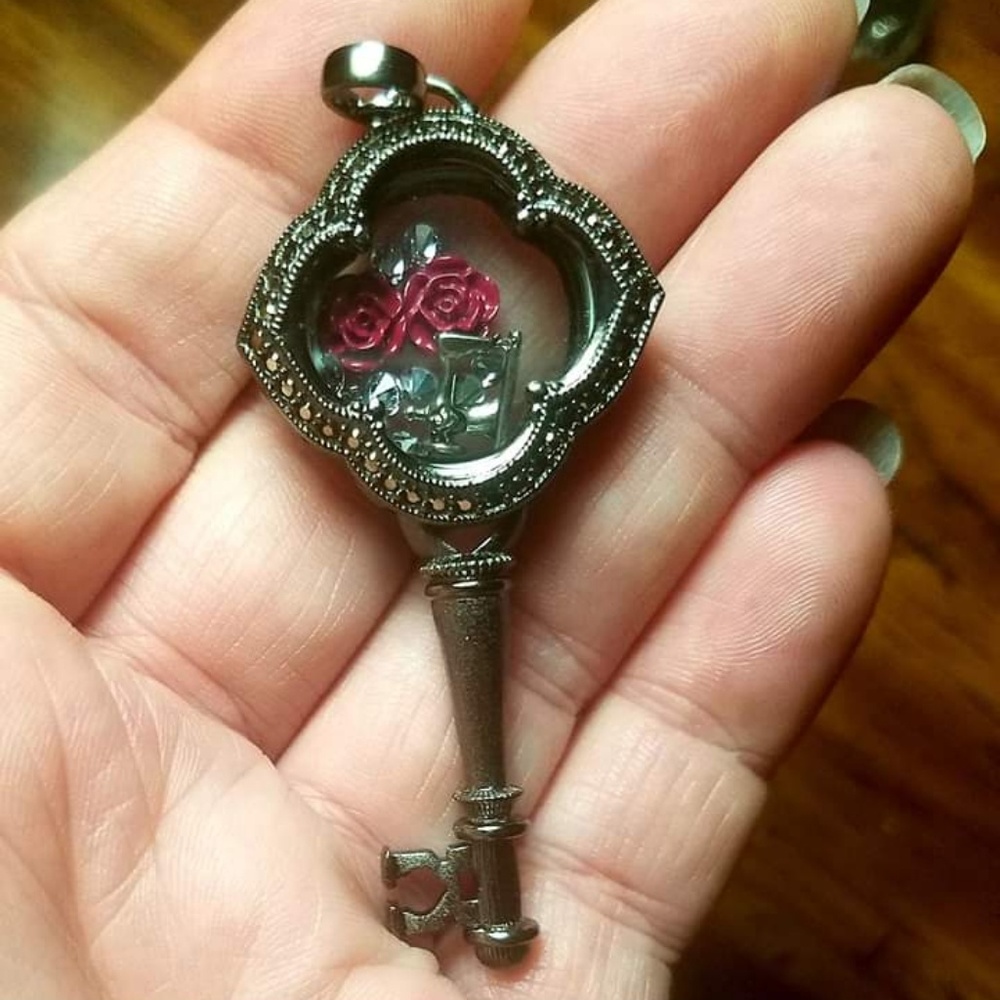 Origami owl gun metal convertible locket